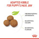Royal Canin Maxi Puppy – Hrană Uscată pentru Pui de Câine de Talie Mare – 3 kg